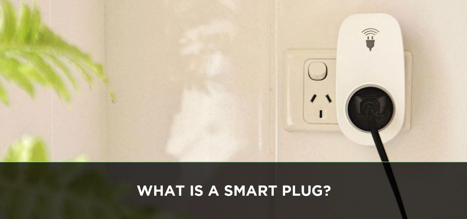 What Is a Smart Plug
